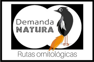 banner Demanda_Natura_1